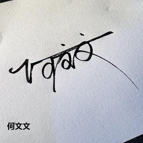 何文文
