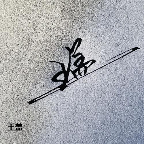 王盖