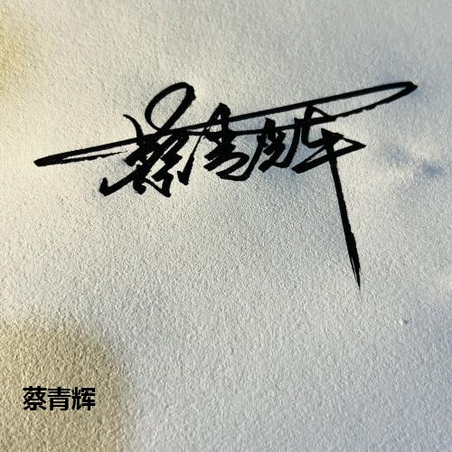 蔡青辉
