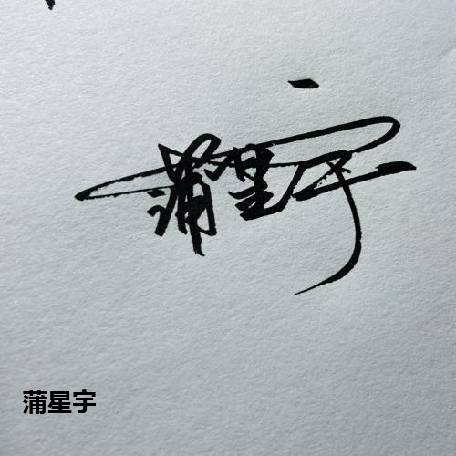 蒲星宇