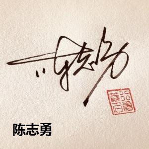 陈志勇