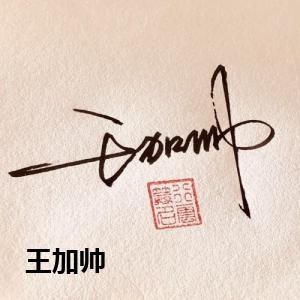 王加帅