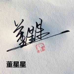 董星星