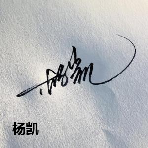 杨凯