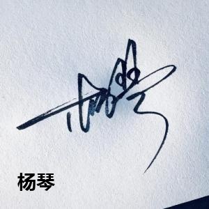 杨琴