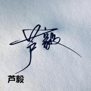 芦毅