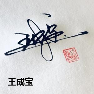 王成宝