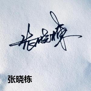张晓栋