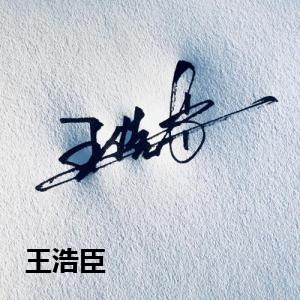 王浩臣