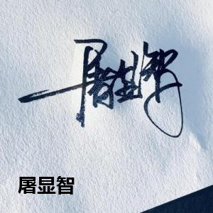 屠显智