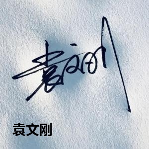 袁文刚