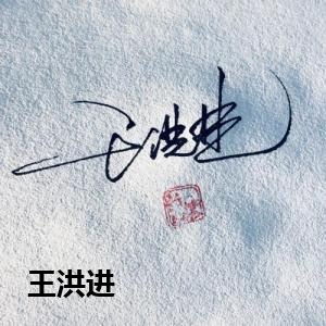 王洪进