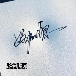 路凯源