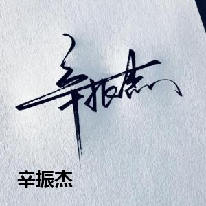 辛振杰