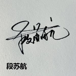 段苏航