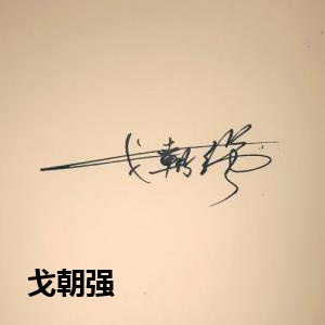 戈朝强
