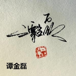 谭金磊
