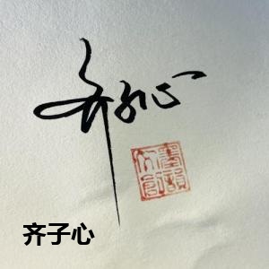 齐子心