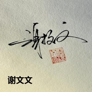 谢文文