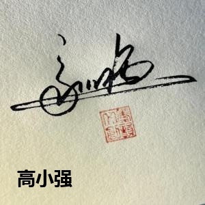 高小强