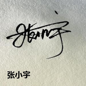 张小宇