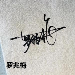 罗兆梅