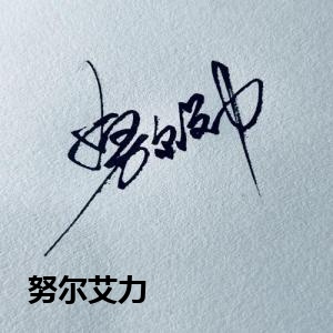 努尔艾力