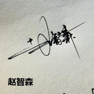 赵智森