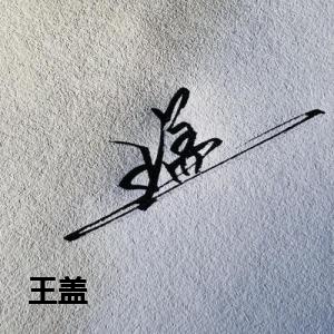 王盖